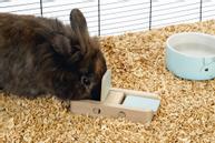 Aktiviseringsleke til Gnager, Mint - 15cm (51-811116)