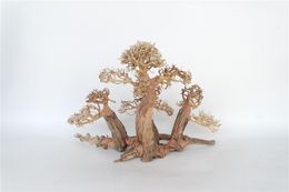 Akudim Akvariedekorasjon Bonsai Tre - 40x25x20cm