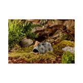 ExoTerra Steingrotte (18-222.2650-1500032608)