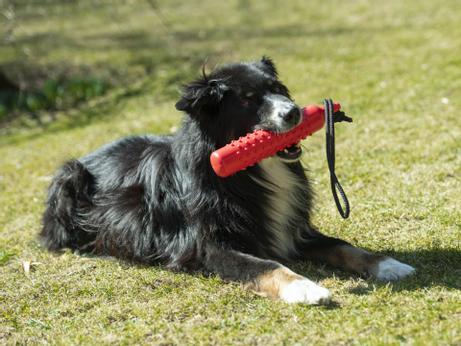 TPR Flytende Treningsdummy - 27cm (56-P1515)