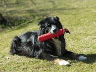 TPR Flytende Treningsdummy - 27cm (56-P1515)