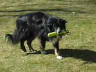 TPE Snack Dummy - 23,5cm (56-D12)