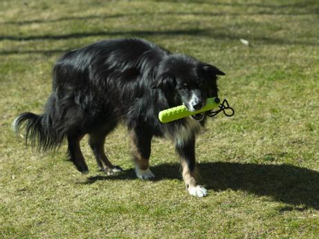 TPE Snack Dummy - 23,5cm (56-D12)