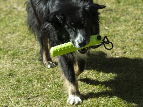 TPE Snack Dummy - 23,5cm (56-D12)