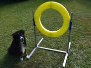 Agility Profi Hoppring PRO-serie (56-Profijumpring)