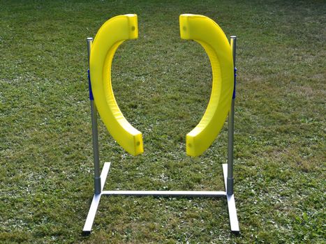 Agility Profi Hoppring PRO-serie (56-Profijumpring)