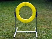 Agility Profi Hoppring PRO-serie (56-Profijumpring)