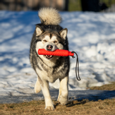 TPR Flytende Treningsdummy - 27cm (56-P1515)