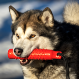 TPR Flytende Treningsdummy - 27cm (56-P1515)