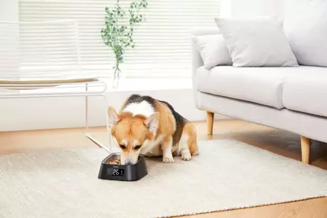 PAWBBY Smart Matskål (MG-ZN001-EU)