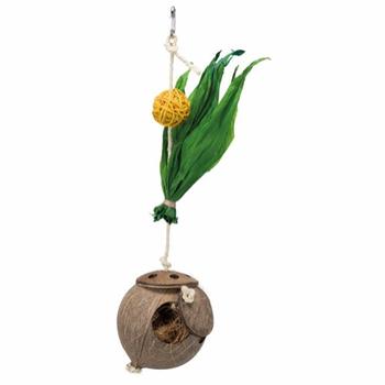 Kokosnøtt til Snacks eller Redemateriale - 35cm (16-TX58920)