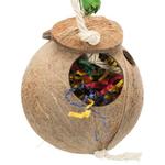 Kokosnøtt til Snacks eller Redemateriale - 35cm (16-TX58920)