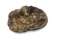 Basseng til Reptil (59-15325-1500080264)