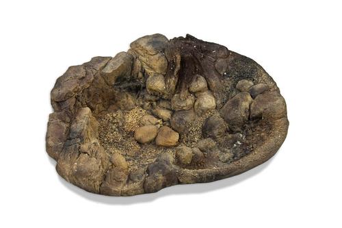 Akudim Basseng til Reptil (59-15325-1500080264)