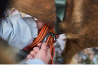 Non-stop Friction Langline - 10m (44-9312)