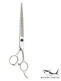 Shark Teeth 4-Stjerners Rett Saks - 19cm (64-ST34175)
