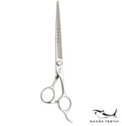  Shark Teeth 5-Stjerners Rett Saks - 19cm