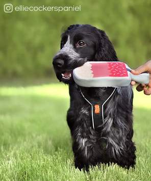 Hundeleke Iskrem - 22cm (51-621201)