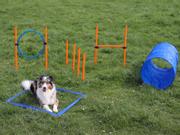 Agility Startersett A20-X (56-A20-X)