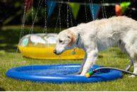 Matte med Vannspreder - 100cm (14-521368)