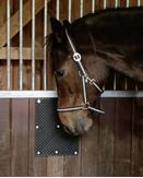 Klømatte Vegg til Hest - 40x30cm (128-BORSB007)