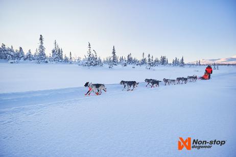 Non-stop Nansen Nome 5.0 Trekksele  (44-2122-1500065956)