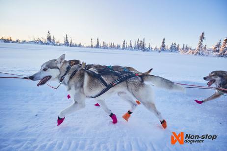 Non-stop Nansen Nome 5.0 Trekksele  (44-2122-1500065956)