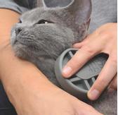 Catit Sett med Børster til Korthåret Katt (59-H40000W)