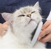 Catit Sett med Børster til Langhåret Katt (59-H40010W)