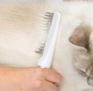 Catit Sett med Børster til Langhåret Katt (59-H40010W)