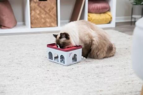 Cat Activity Rod Box Aktiviseringsleke til Katt - 20cm (126-45896)