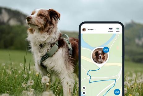 Tractive GPS XL til Hund - Grønn (TRDOG4XLGR)