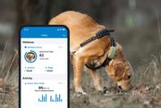 Tractive GPS XL til Hund - Grønn (TRDOG4XLGR)