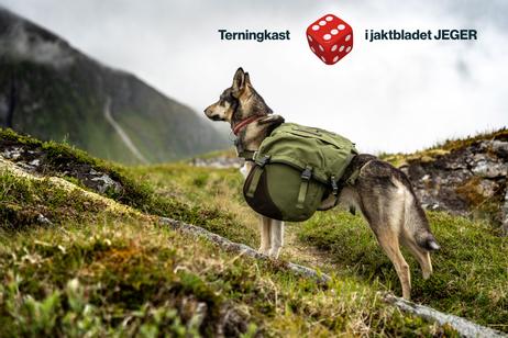 Seleverkstedet Togo Kløv (123-400-001-1500075026)