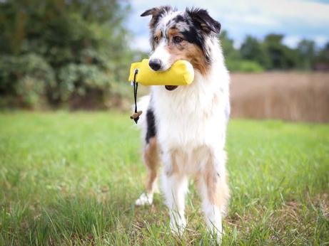 Apport Dummy - Gul  (56-D1-500Ye)