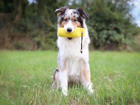 Apport Dummy - Gul  (56-D1-500Ye)