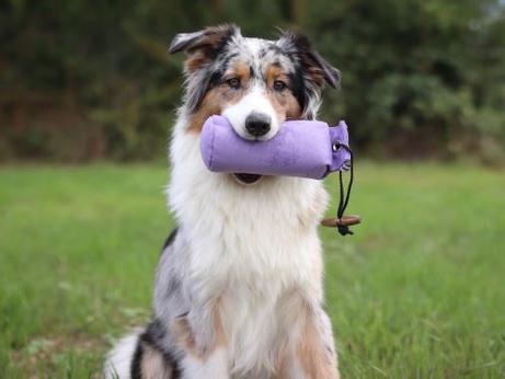 Apport Dummy - Lilla (56-D1-500Pu)