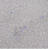 Kattesand med Babypudder og Zeolitt - 12kg (14-561312)