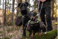 Seleverkstedet Togo Kløv (123-400-001-1500075026)