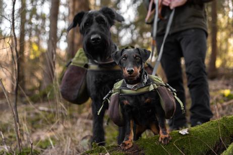 Seleverkstedet Togo Kløv (123-400-001-1500075026)