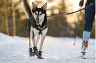 Seleverkstedet High Endurance Potesokker 4pk - Grå (123-320-040-1500023806)