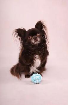 Valpeleke Ball, Mint - 6cm (14-520016)