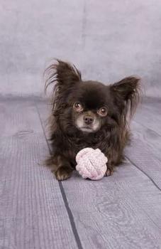 Valpeleke Ball, Rosa - 6cm (14-520017)