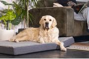 Zira Memory Foam Hundemadrass - Grå (51-707302)