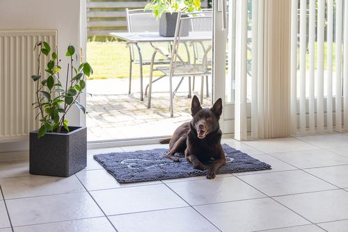 Dirty Dog Dørmatte, Grå - 88cm (796213)