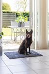Dirty Dog Dørmatte, Grå - 88cm (796213)