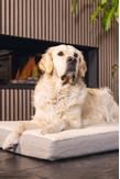 Zira Memory Foam Hundemadrass - Beige (51-707306)