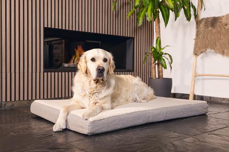 Zira Memory Foam Hundemadrass - Beige (51-707306)