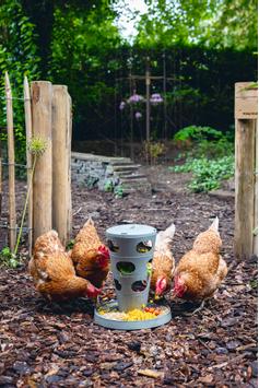 Feed Tower til Høns, Grå - 36cm (51-18251)