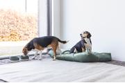 Designed by Lotte Nalino Hundemadrass - Grønn (51-704835-1500015462)